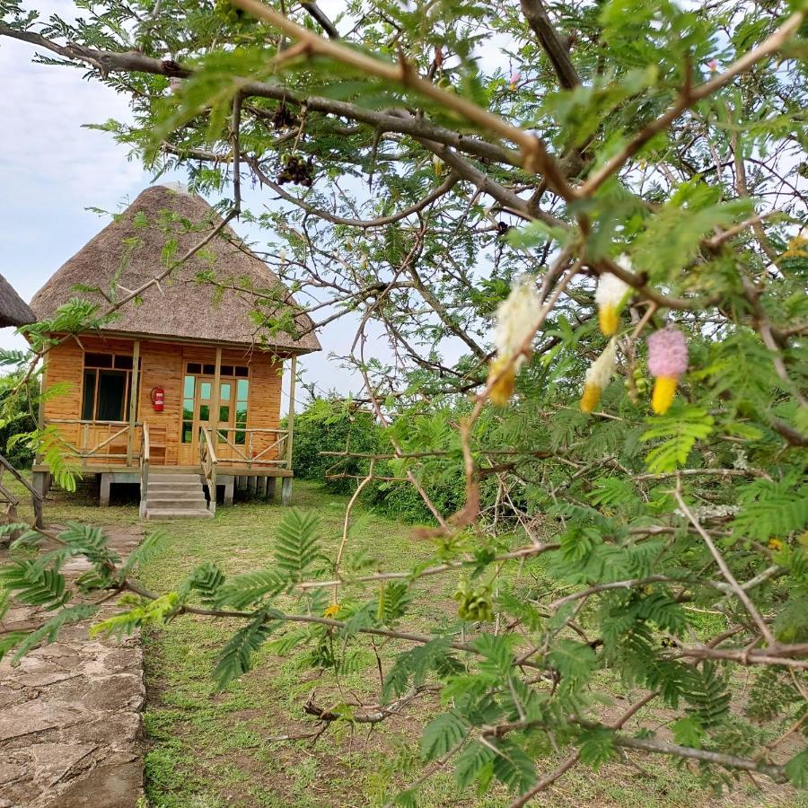 Engiri Game Lodge And Campsite Katunguru Luaran gambar